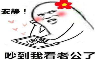 安靜如雞是什么意思?安靜的像只雞什么梗?安相機粉絲圈常用詞
