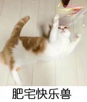肥宅快樂水是什么意思?為什么可樂叫肥宅快樂水?喝可樂為什么容易長胖