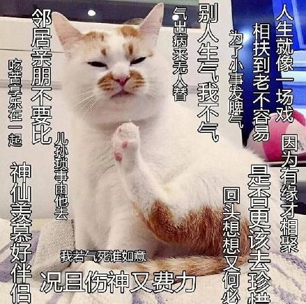 佛系是什么意思什么梗?佛系及衍生詞語刷屏 佛系和佛教有關(guān)系嗎