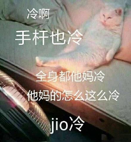 泡jio是什么意思什么梗?jio是哪個地方的方言 一起泡jio表情包