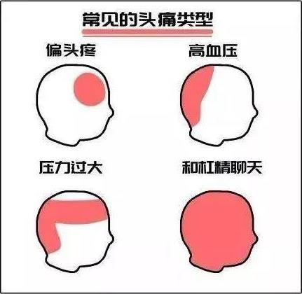 杠精是什么意思什么梗?杠精的特征表現(xiàn) 遇到杠精怎么辦如何應(yīng)對(duì)