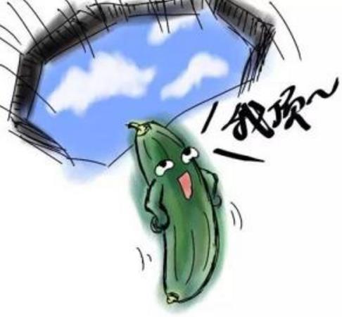 黃瓜茄子有什么污內(nèi)涵意思?黃瓜茄子和藕的污段子 黃瓜幽默段子