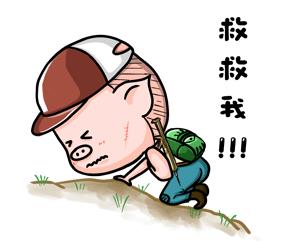 豬隊友是什么意思什么梗?不怕虎一樣的敵人,就怕豬一樣的隊友