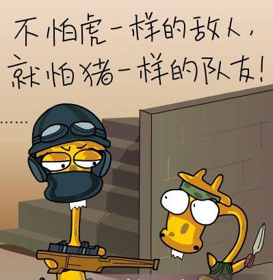 豬隊友是什么意思什么梗?不怕虎一樣的敵人,就怕豬一樣的隊友