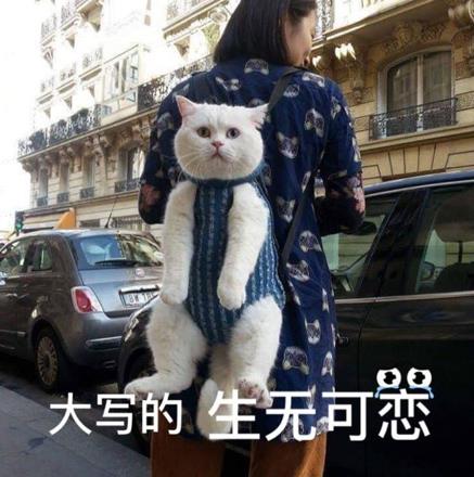 人間不值得是什么意思什么梗?喪文化網絡梗:開心點朋友們,人間不值得