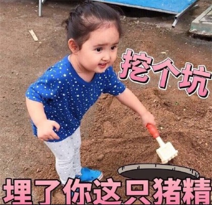 豬精是什么意思什么梗 豬精可以辟邪嗎