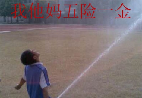 我他媽五險(xiǎn)一金是什么意思什么梗 我tm五險(xiǎn)一金