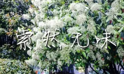 索然無味是什么梗 隨著身體的一陣顫抖,圖片已經(jīng)變的索然無味