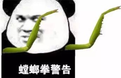 泰拳警告是什么意思什么梗 警告一次 下次泰拳