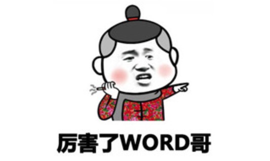 word哥是什么意思什么梗 word哥等于我的哥