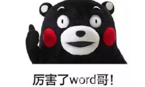 word哥是什么意思什么梗 word哥等于我的哥