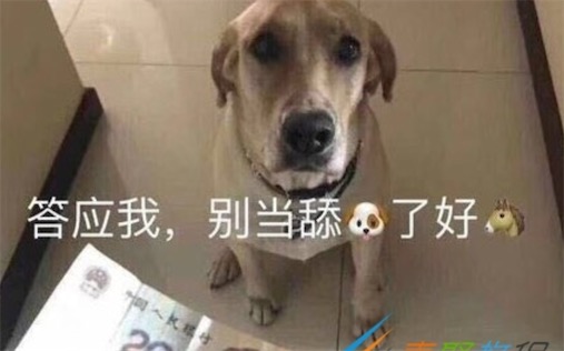 舔狗是什么意思什么梗 舔狗指毫無尊嚴去跪舔他人的人