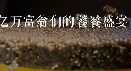 貧窮限制了我的想象力是什么意思什么梗 貧窮限制了我的想象的出處