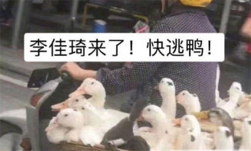 duck不必是什么意思什么梗 duck不必是大可不必的諧音