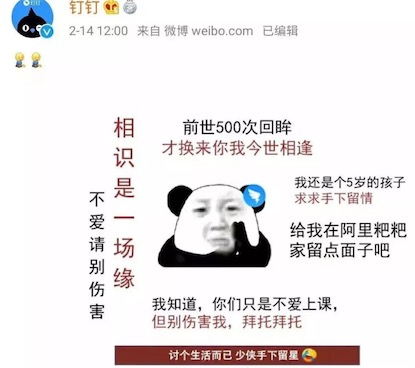釘釘本釘在線求饒是什么意思什么梗 釘釘在線求饒的含義及出處