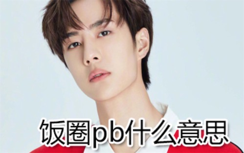 PB是什么意思什么梗 飯圈PB的含義