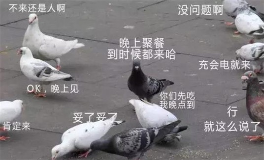 人類三大本質(zhì)是什么意思什么梗 人類三大本質(zhì)的含義及出處