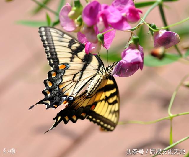 2018網(wǎng)絡(luò)最火十大流行語(yǔ) 年輕人網(wǎng)絡(luò)流行語(yǔ)2018