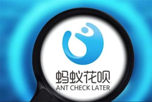 母單花是什么意思什么梗 母單花指從出生起就單身且還不起花唄