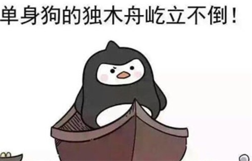 母單花是什么意思什么梗 母單花指從出生起就單身且還不起花唄