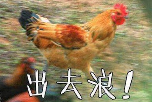 xxj是什么意思什么梗 xxj是小學雞的拼音首字母縮寫