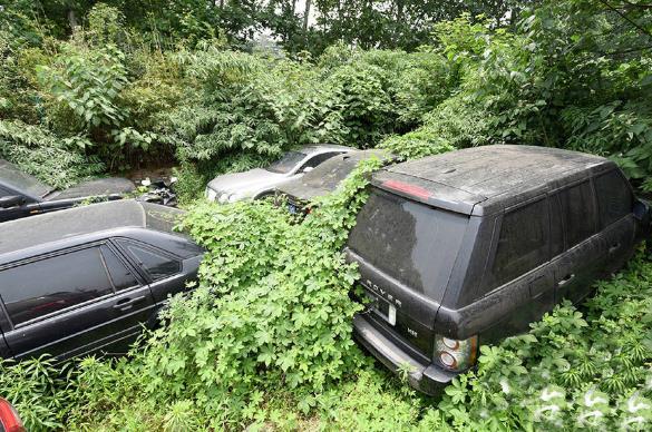 僵尸車是什么意思 城市里僵尸車放爛也不開走 產(chǎn)生的原因是什么