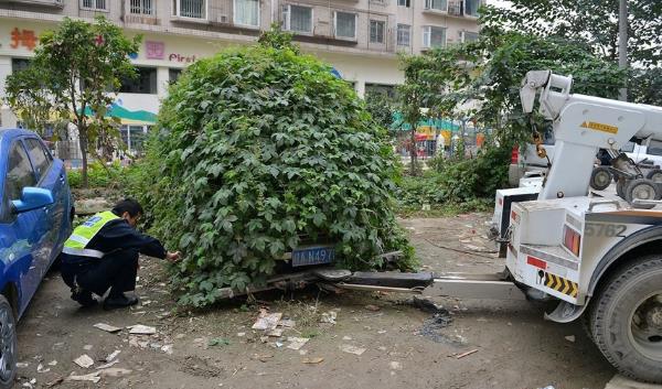 僵尸車是什么意思 城市里僵尸車放爛也不開走 產(chǎn)生的原因是什么