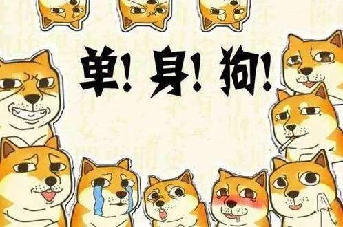 自殺式單身是什么意思什么梗 90后新詞匯“自殺式單身”有多無(wú)解