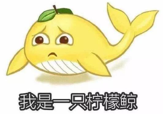 國家語言資源監(jiān)測與研究中心:2019年網(wǎng)絡(luò)10大最火最牛流行語熱門梗