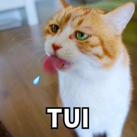 he~~~tui什么意思?he tui怎么懟回去?反擊he tui吐痰吐口水表情