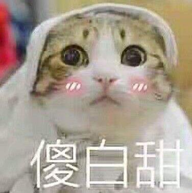 傻白甜是什么意思什么梗 為什么男生會喜歡“傻白甜”女生