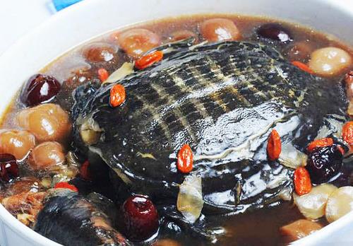 哪些人不適合吃甲魚？食用甲魚的注意事項