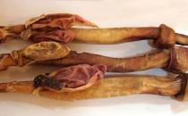 吃動(dòng)物鞭能壯陽嗎？吃動(dòng)物鞭補(bǔ)腎壯陽的禁忌
