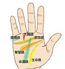 手相圖解：手掌上的五大線紋