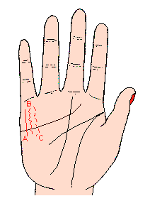 財(cái)運(yùn)線圖解：手相財(cái)運(yùn)線算命圖解