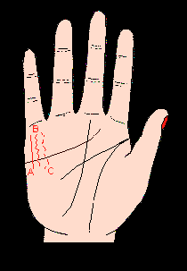 手相財(cái)運(yùn)線，財(cái)運(yùn)線圖解，手相財(cái)運(yùn)線算命圖解