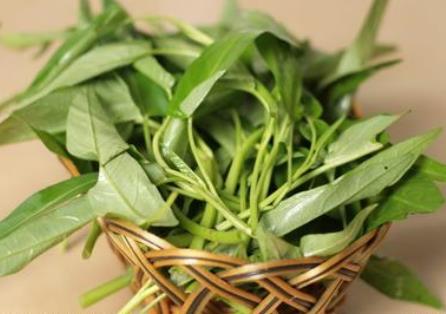 如何挑選空心菜？吃空心菜的食用禁忌