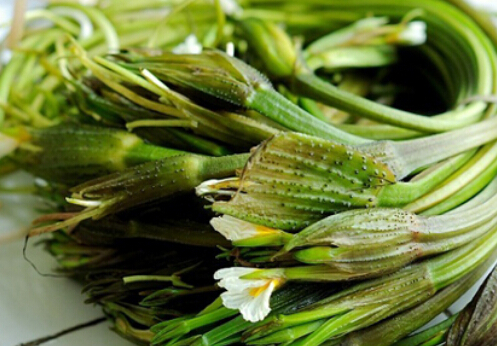 常吃海菜碘會過量嗎？海菜的功效