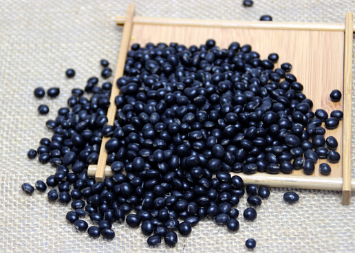 常食黑豆有助懷孕有科學依據(jù)嗎？