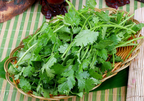 感冒病人飲食要適量-感冒不能吃什么？