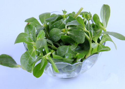 涼拌菜怎么吃才健康？吃涼拌菜最好放抗菌菜