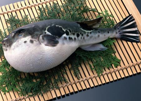 什么食物有毒？12種常見(jiàn)有毒的食物需注意