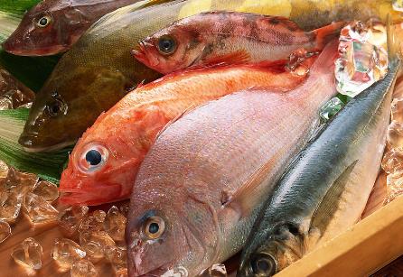 吃哪種魚(yú)可補(bǔ)肝益氣？各種魚(yú)肉的保健功效