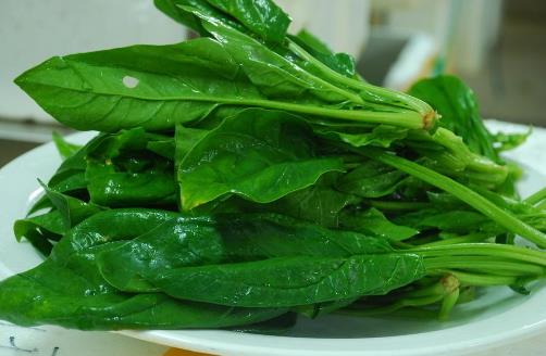 春季吃菠菜的好處-菠菜怎么吃最有營養(yǎng)