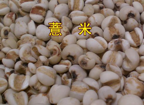 薏米的功效與作用-薏米的營養(yǎng)價值