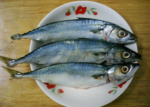 食用青占魚的注意事項-青占魚的營養(yǎng)價值