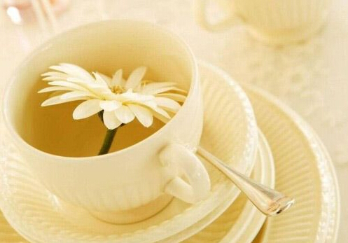 小孩能喝茶飲料嗎？茶飲料的功效