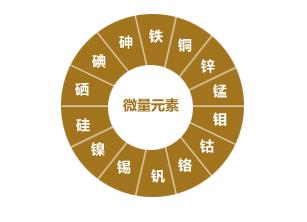 微量元素有哪些呢？微量元素的作用