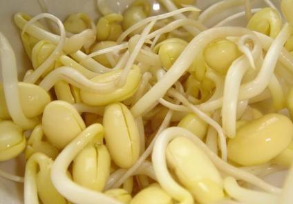 吃黃豆芽好嗎？黃豆芽的營(yíng)養(yǎng)價(jià)值、功效與作用