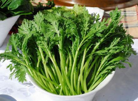 茼蒿怎么做好吃？茼蒿的營(yíng)養(yǎng)價(jià)值、功效與作用